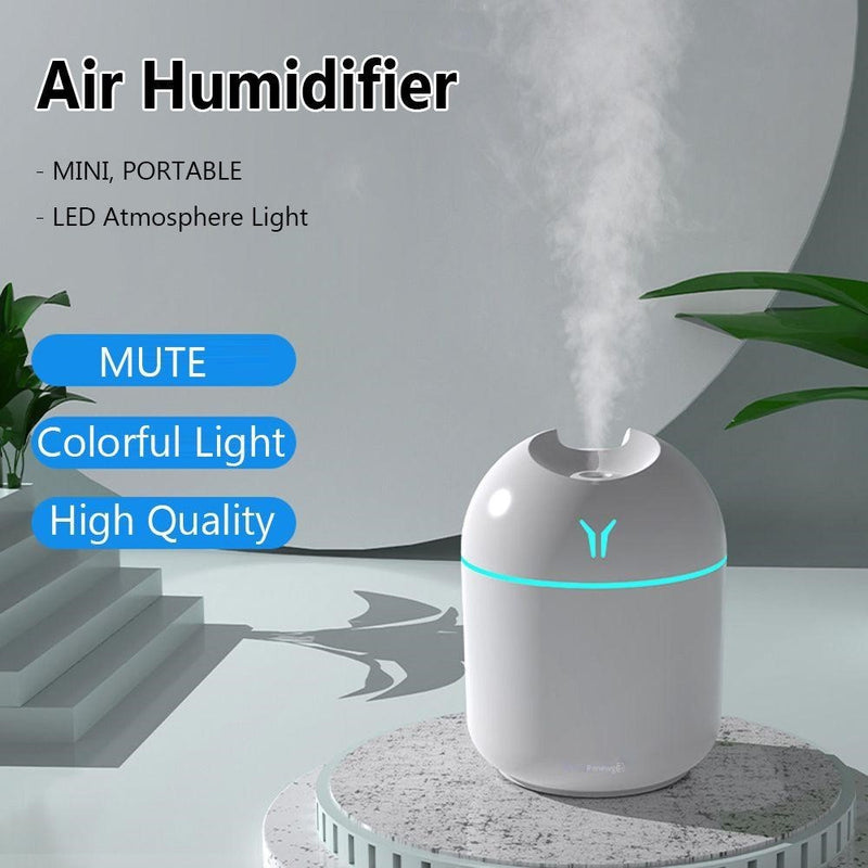 Add moisturize to the air to help with adding humidity to dry environments